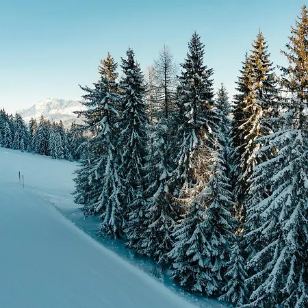 ベッド・アンド・ブレックファスト Auhof